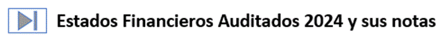 Botón para ir a Estados Financieros Auditados y sus notas.